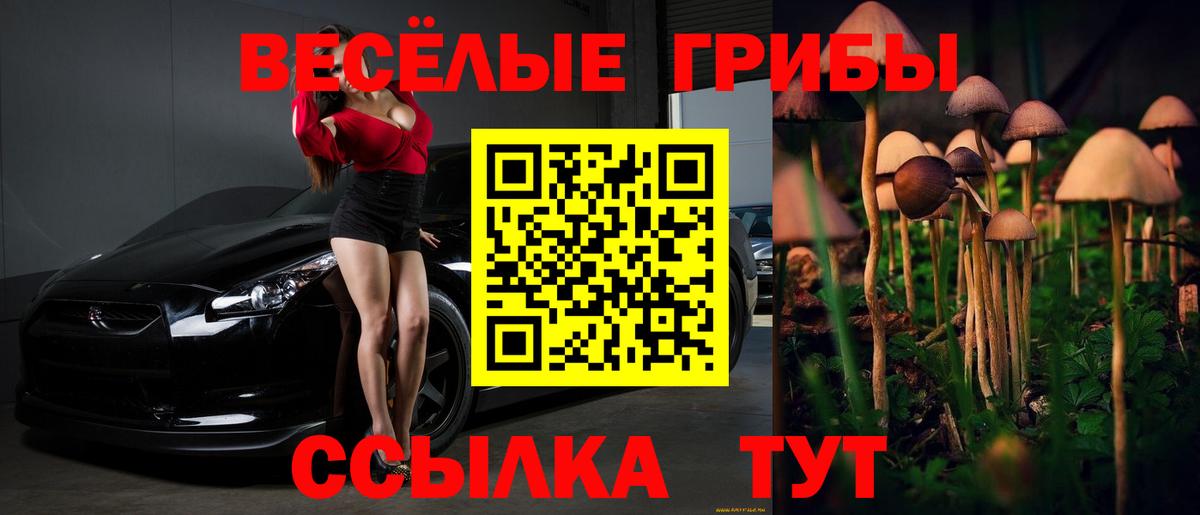 Ялуторовск  Галлюциногенные грибы GOLDEN TEACHER  Вход с VPN  Псилоцибиновые грибы ЛСД 